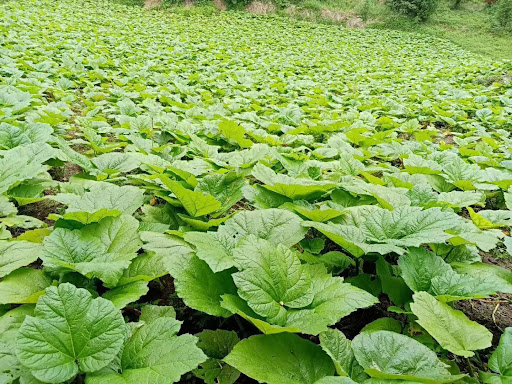 永續承諾