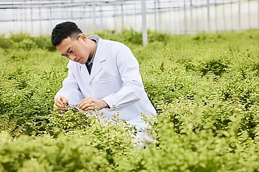 源自天然，精選草本